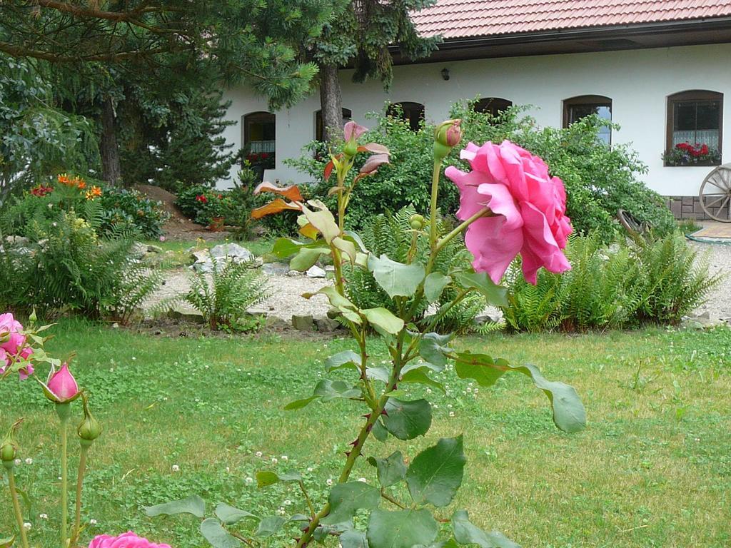 Ferienwohnung La Ferme de Sissi Smrzice Exterior foto