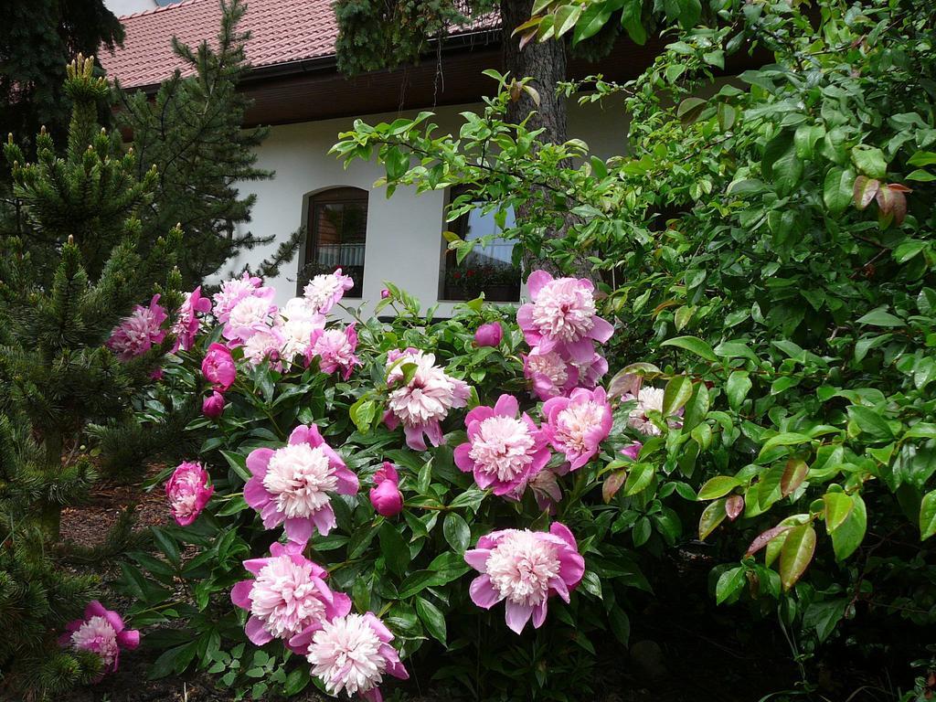 Ferienwohnung La Ferme de Sissi Smrzice Exterior foto